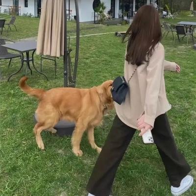 系紧你的安全带